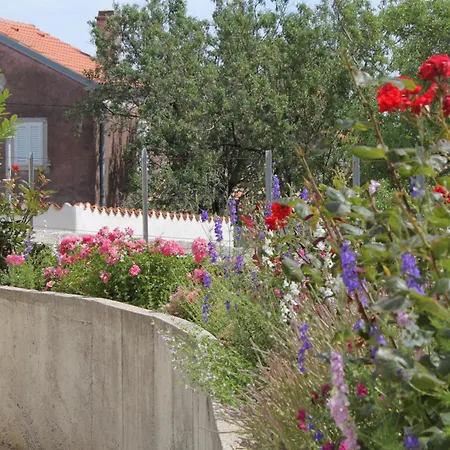 3451c Apartment Nerezine